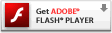 下載 Adobe Flash 播放器